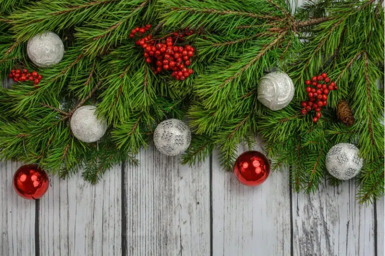 Pet Peeve: Marketing in Holiday Cards