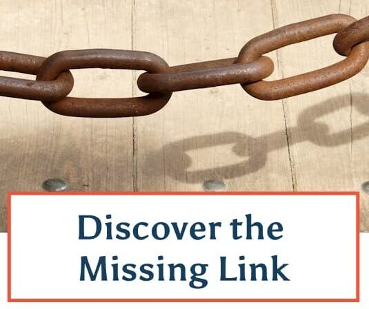 Discover the Missing Link