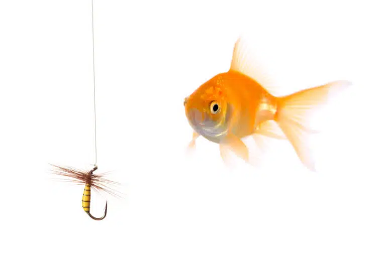 Beware! Big Phishing Scam Happening Now