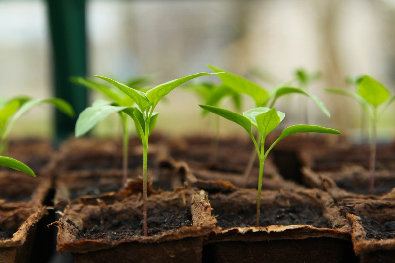 Great Article – 10 Ways To Grow Your Business