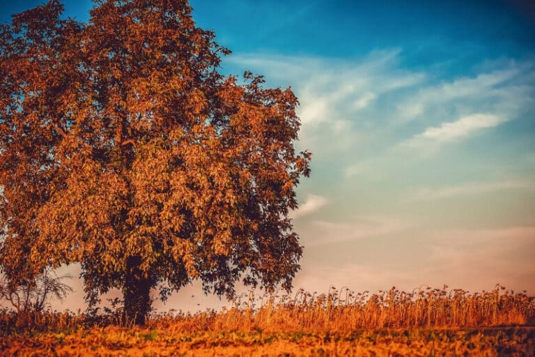 7 Steps to Create Your Autumn Marketing Plan This Summer
