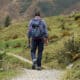 What a Five Hour Hike Can Teach You About Business
