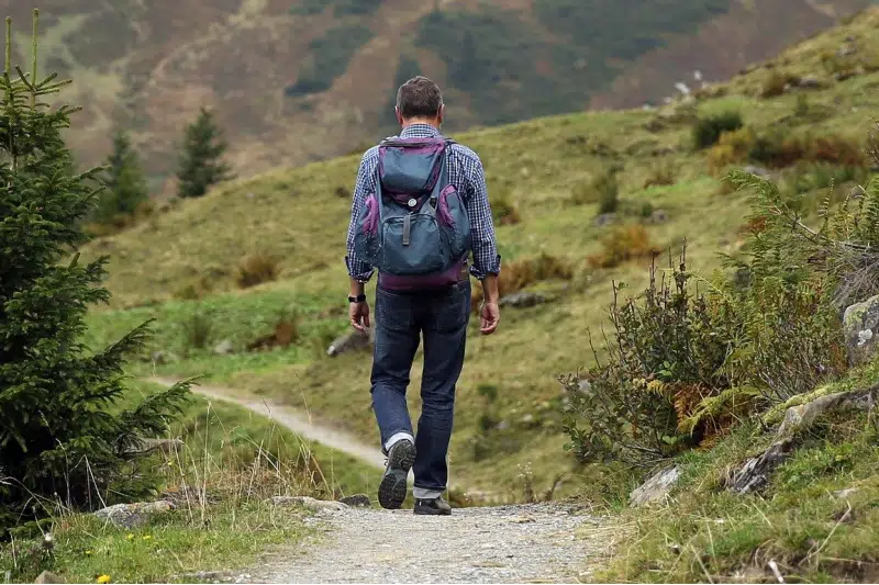 What a Five Hour Hike Can Teach You About Business